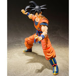 Dragon Ball Son Goku Saiyan Raised on Earth figure 14cm