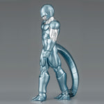 Dragon Ball Z Solid Edge Works Metal Cooler figure 17cm