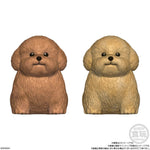 Mocchiri Kororin Dogs assorted figure
