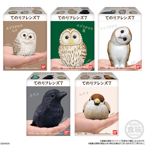 Tenori Friends Birds assorted figure 6cm